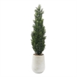 5' Cedar Topiary in White Artemis Planter
