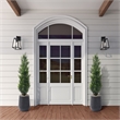 5' Cedar Topiary in Black Artemis Planter