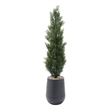5' Cedar Topiary in Black Artemis Planter