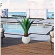 Jumbo Agave Plant in White Porter Planter