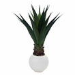 Jumbo Agave Plant in White Porter Planter