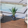 Jumbo Agave Plant in Black Porter Planter