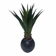 Jumbo Agave Plant in Black Porter Planter