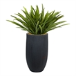 Orchid Foliage in Black Ribbed Nell Planter