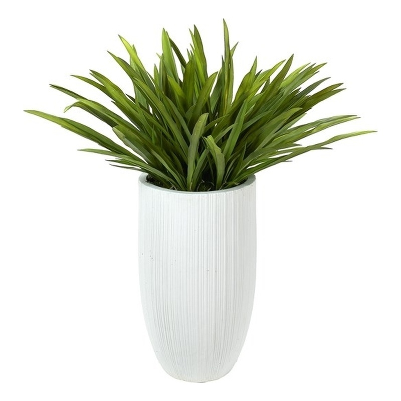 Orchid Foliage in White Ribbed Nell Planter