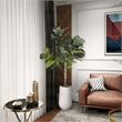 5.5' Fiddle Leaf Fig Tree in Quinn Planter