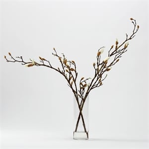 Budding White Magnolia Stems in Cylian Vase
