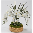 White Orchids & Areca Grass in Salve Planter