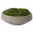 Preserved Mood Moss in Grey Newport Bowl