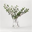 Green Leafy Branches in Glass Vase