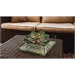 Pink/Green Echeveria in Marina Bowl