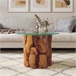 vidaXL Solid Teak Driftwood Coffee Table in Brown