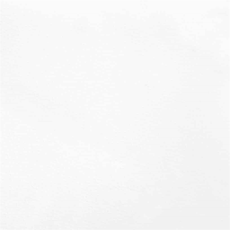 vidaXL Queen Faux Leather Engineered Wood Bed Frame in White