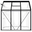vidaXL Transparent Aluminum Greenhouse in Anthracite