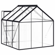 vidaXL Transparent Aluminum Greenhouse in Anthracite