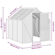 vidaXL Transparent Aluminum Greenhouse in Anthracite