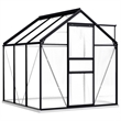 vidaXL Transparent Aluminum Greenhouse in Anthracite