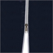 vidaXL 10'x20' Party Tent  in Blue