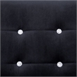 Vidaxl Standard Durable Loveseat in Black Velvet