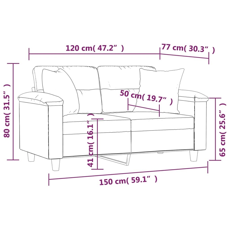 Vidaxl 2-Seater Sofa in Dark Gray