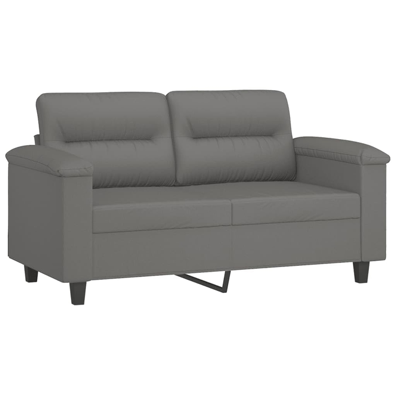 Vidaxl 2-Seater Sofa in Dark Gray
