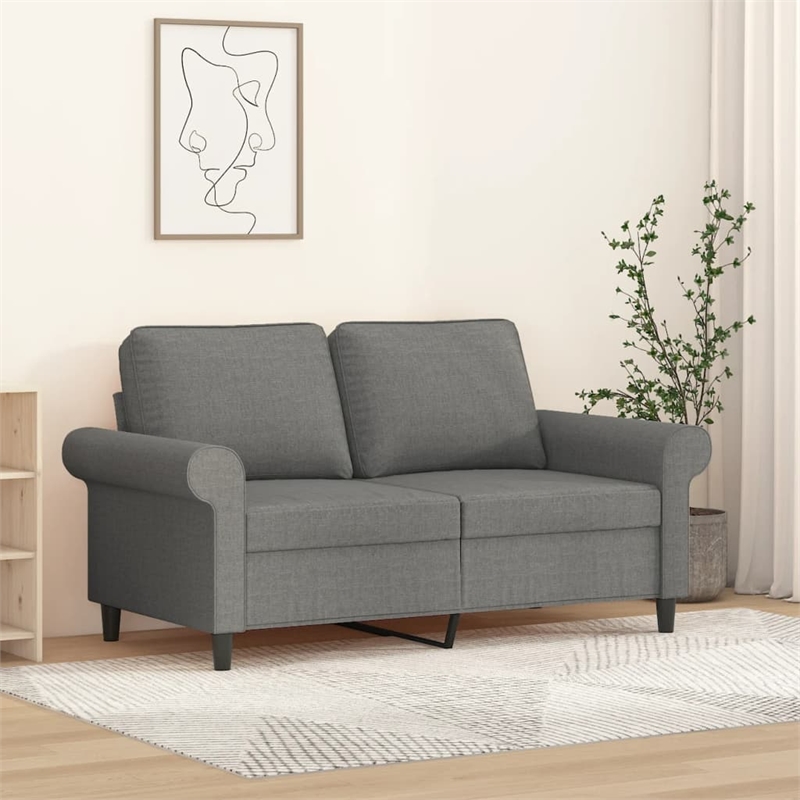 Vidaxl 2-Seater Sofa in Dark Gray Polyester