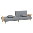 Vidaxl Standard Sleeper Sofa Bed in Light Gray Fabric