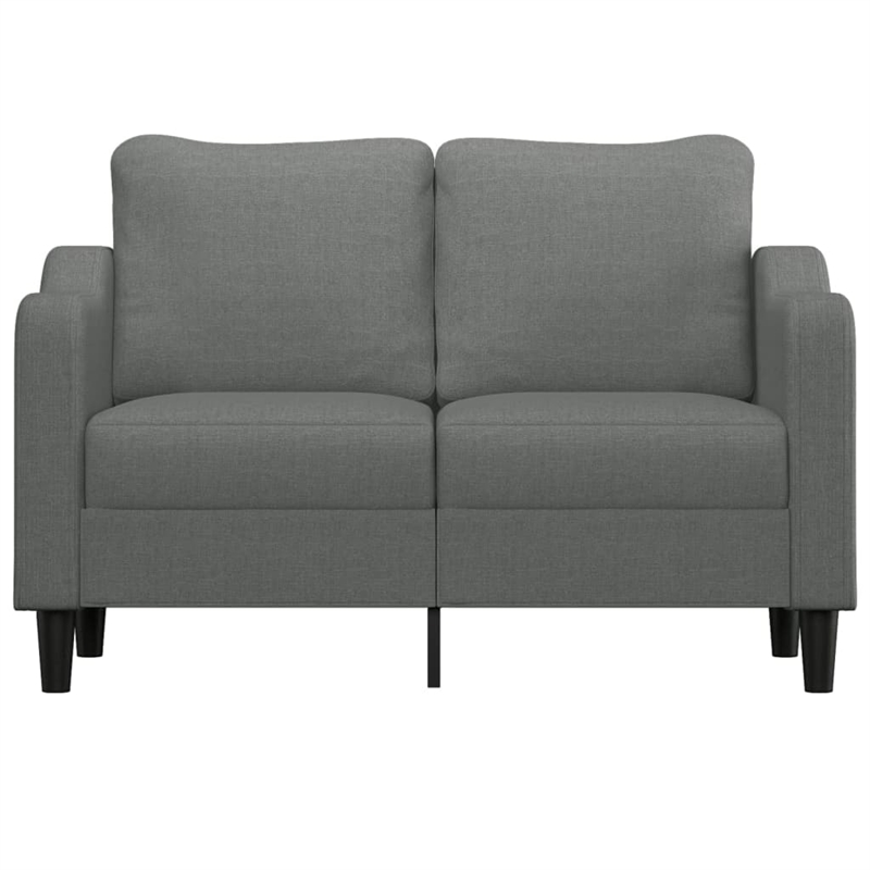 Vidaxl 2-Seater Sofa in Dark Gray