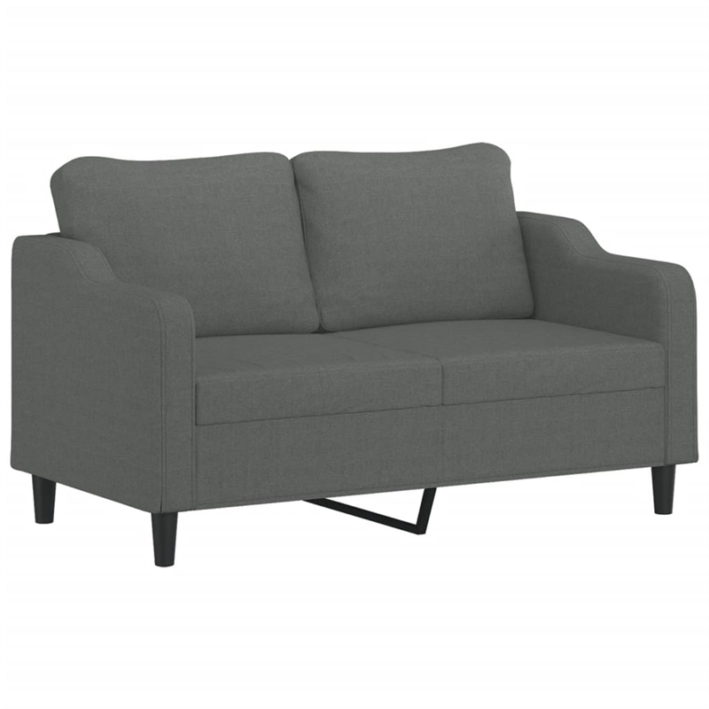 Vidaxl 2-Seater Sofa in Dark Gray