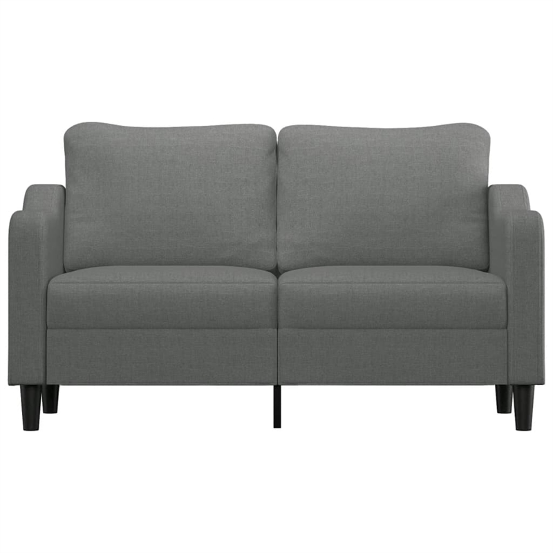 Vidaxl 2-Seater Sofa in Dark Gray