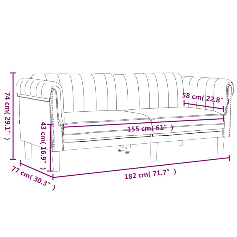 Vidaxl 2-Seater Stylish Design Sofa in Black Velvet