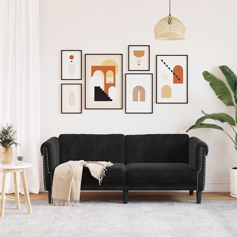 Vidaxl 2-Seater Stylish Design Sofa in Black Velvet