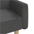 Vidaxl Wooden Frame Sofa Bed in Dark Grey