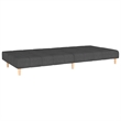 Vidaxl 2-Seater Sofa Bed in Dark Gray Polyester