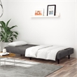 Vidaxl 2-Seater Convertible Sofa Bed in Dark Grey Velvet