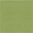 vidaXL Patio Lounge Set in Brown With Green Cushions