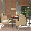 vidaXL Poly Rattan Lightweight Rectangular Dining Set in Beige