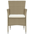 vidaXL Poly Rattan Lightweight Rectangular Dining Set in Beige