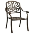 vidaXL 5 Piece Garden Dining Set in Bronze
