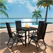 vidaXL 5 Piece Garden Dining Set in Black