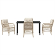 vidaXL 5 Piece Poly Rattan Garden Dining Set with Cushions in Black