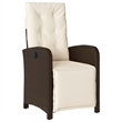 vidaXL 9 Piece Poly Rattan Garden Dining Set in Brown/Cream white