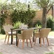 vidaXL 5 Piece Poly Rattan Garden Dining Set with Cushions in Beige
