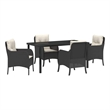 vidaXL 5 Piece Poly Rattan Garden Dining Set with Cushions in Black