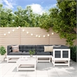 vidaXL Wood Large Garden Lounge Set in White