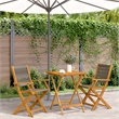 vidaXL Solid Acacia Wood Bistro Set in Gray