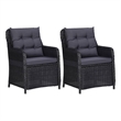 vidaXL Rattan Chair in Black and Dark Gray (Set of 2)