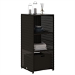 vidaXL PE Rattan Garden Storage Cabinet in Black