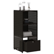 vidaXL PE Rattan Garden Storage Cabinet in Black