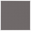 vidaXL King Size Microfiber Weighted Blanket in Grey